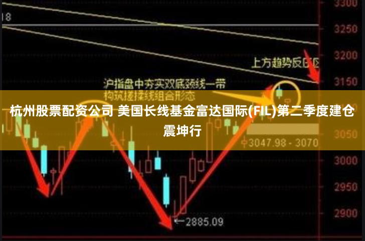 杭州股票配资公司 美国长线基金富达国际(FIL)第二季度建仓震坤行