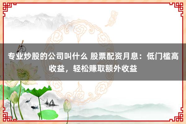 专业炒股的公司叫什么 股票配资月息：低门槛高收益，轻松赚取额外收益